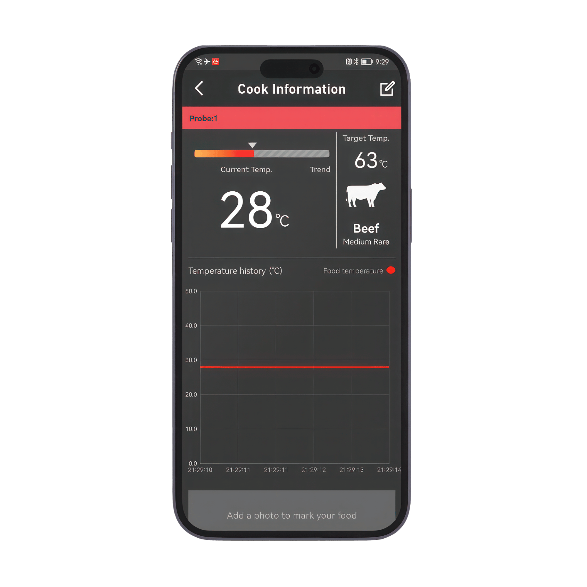 EasyBBQ pro