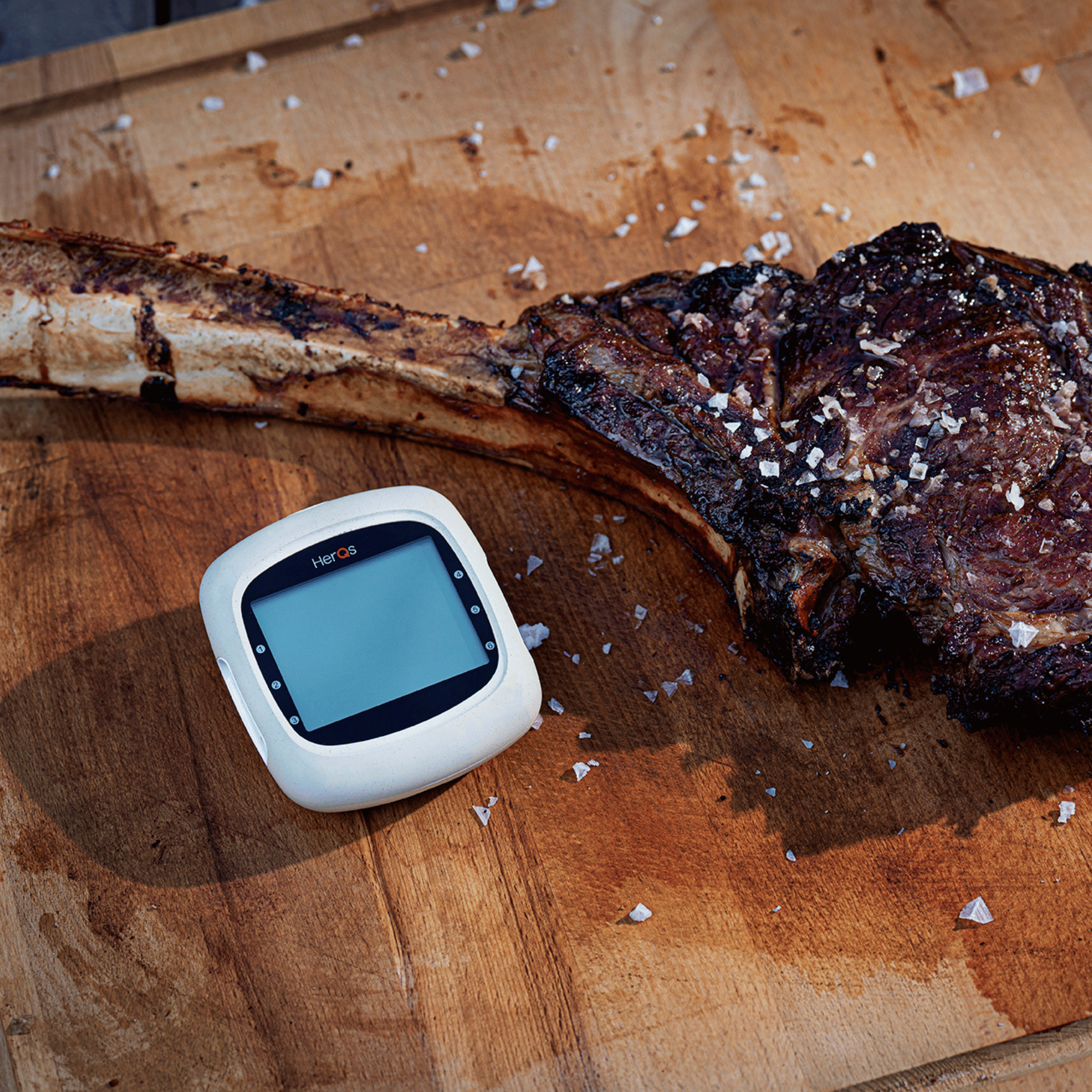 EasyBBQ pro